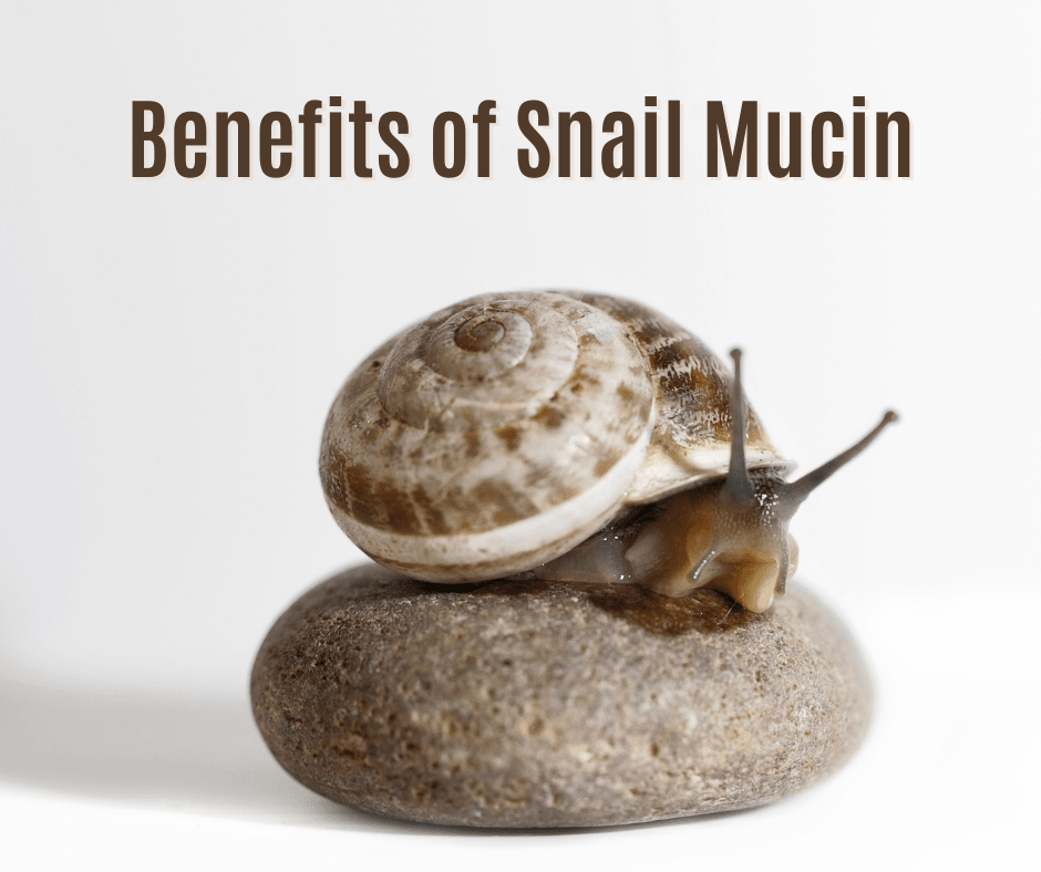 benefits of snail mucin