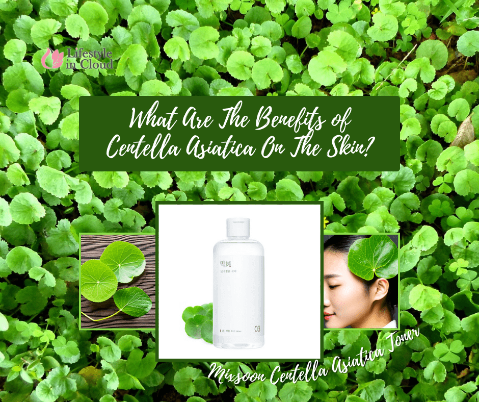 What Are The Benefits of Centella Asiatica On The Skin